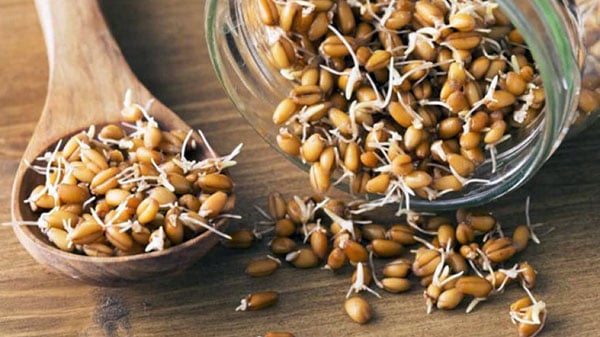 Приготовление полезных для здоровья продуктов. Пророщенная пшеница и домашний творог
