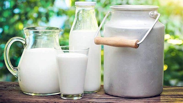 Чем полезно молоко?
